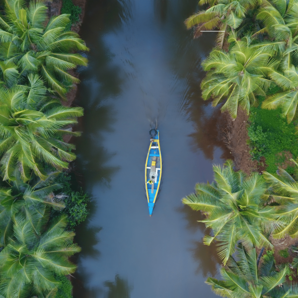 Tour code P018- Experience Variety Of Kerala