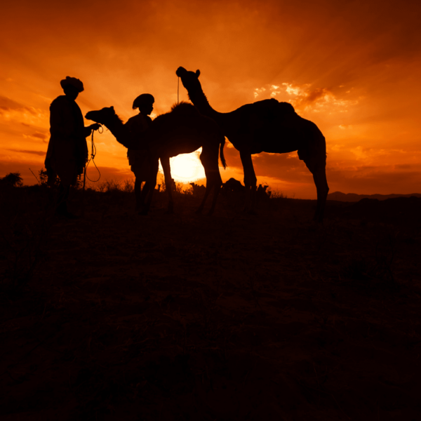 Tour S027: Golden Triangle with Pushkar & Udaipur
